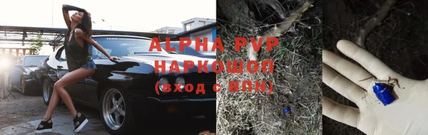 тгк Кукмор