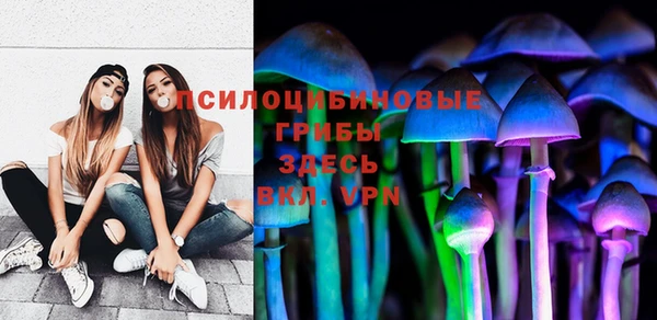 тгк Кукмор