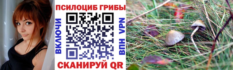 MEGA Лебедянь Псилоцибиновые грибы Psilocybe